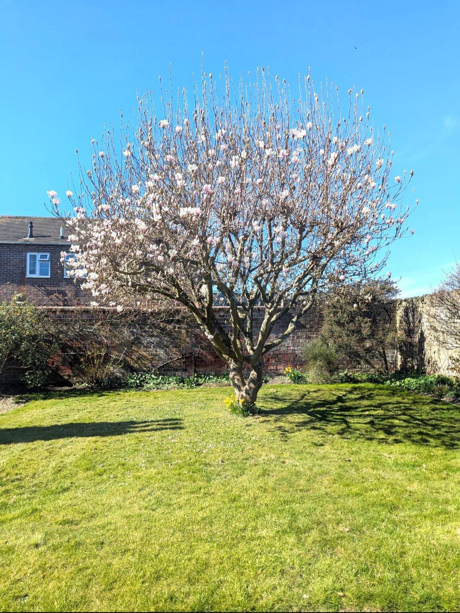 Georgian 2 Bedroom Apartment In Chichester With Free Parking - Chichester Holiday Properties Exterior photo
