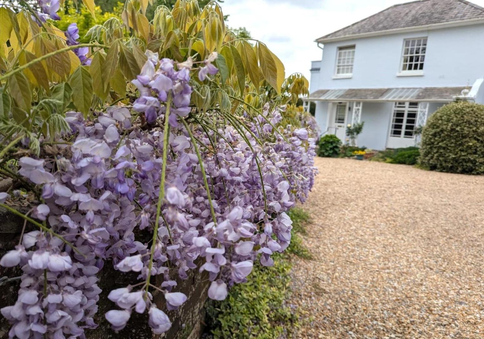 Georgian 2 Bedroom Apartment In Chichester With Free Parking - Chichester Holiday Properties Exterior photo